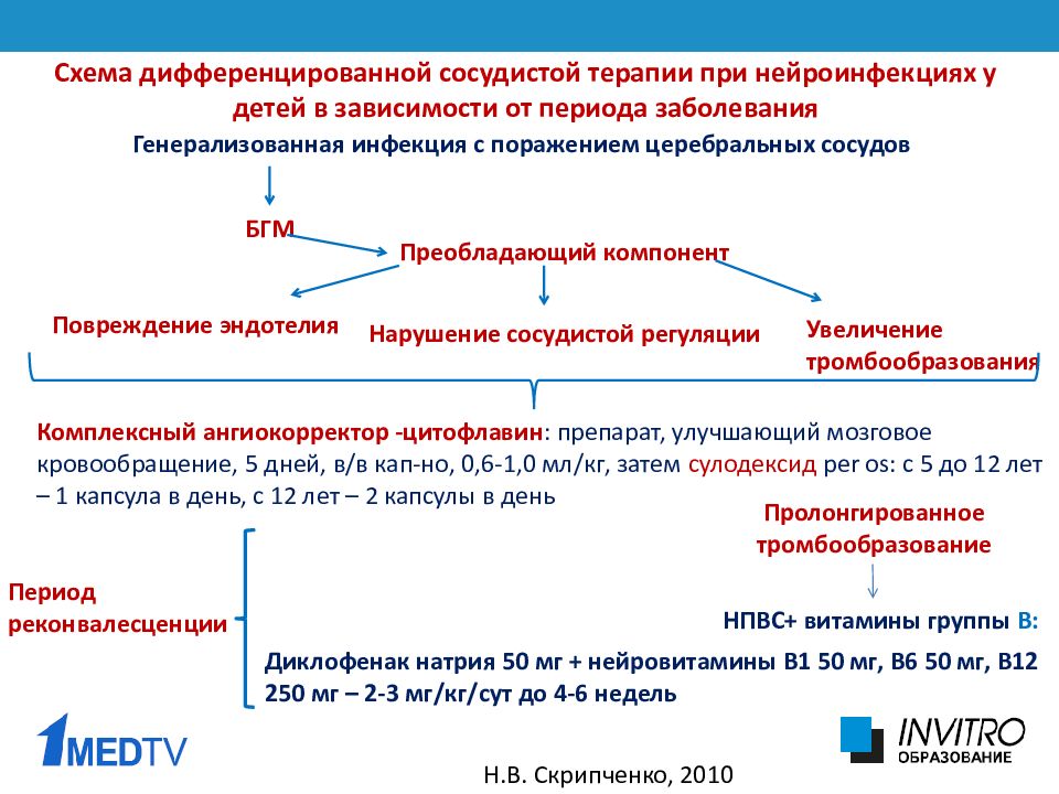 Гемофильная инфекция схема