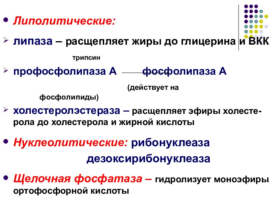 Липаза это. Липолитические ферменты. Липолитические ферменты расщепляют. Липаза это фермент который расщепляет. Липаза расщепляет.