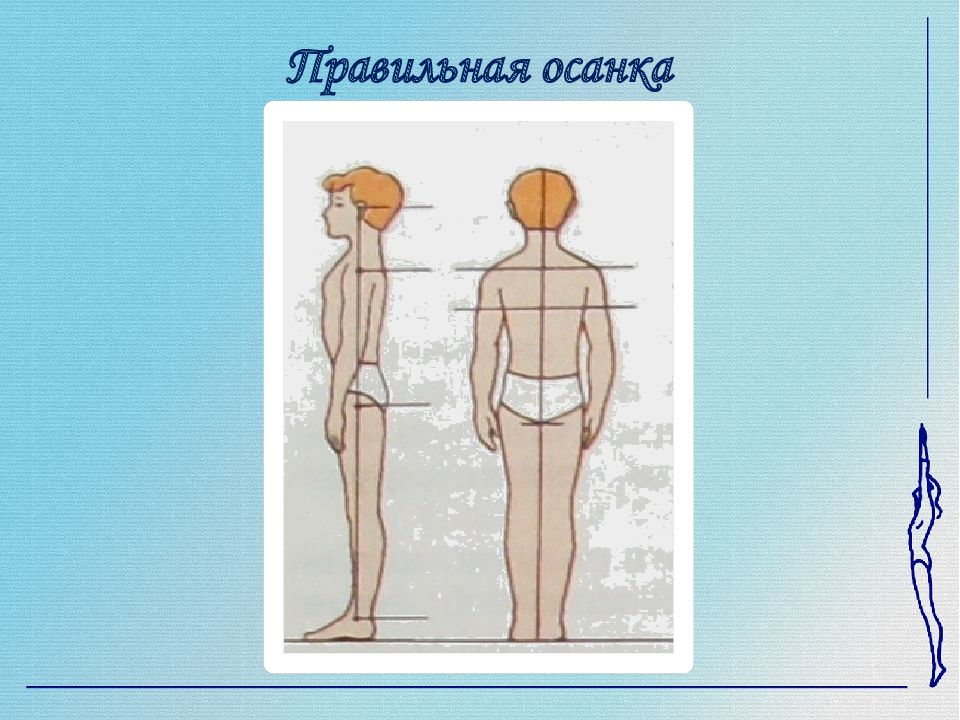 Осанка картинки для презентации