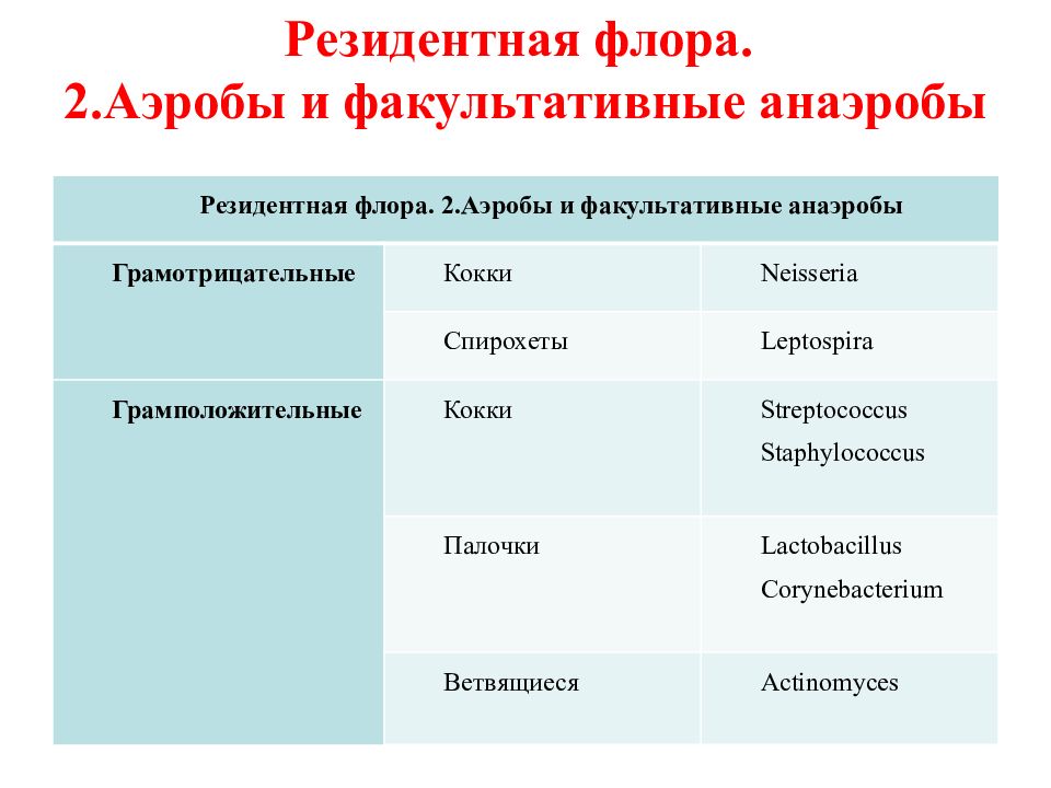 Аэробы это. Факультативные аэробы и анаэробы. Аэробы анаэробы факультативные анаэробы. Факультативные анаэробы примеры. Аэробы анаэробы факультативные анаэробы микроаэрофилы.