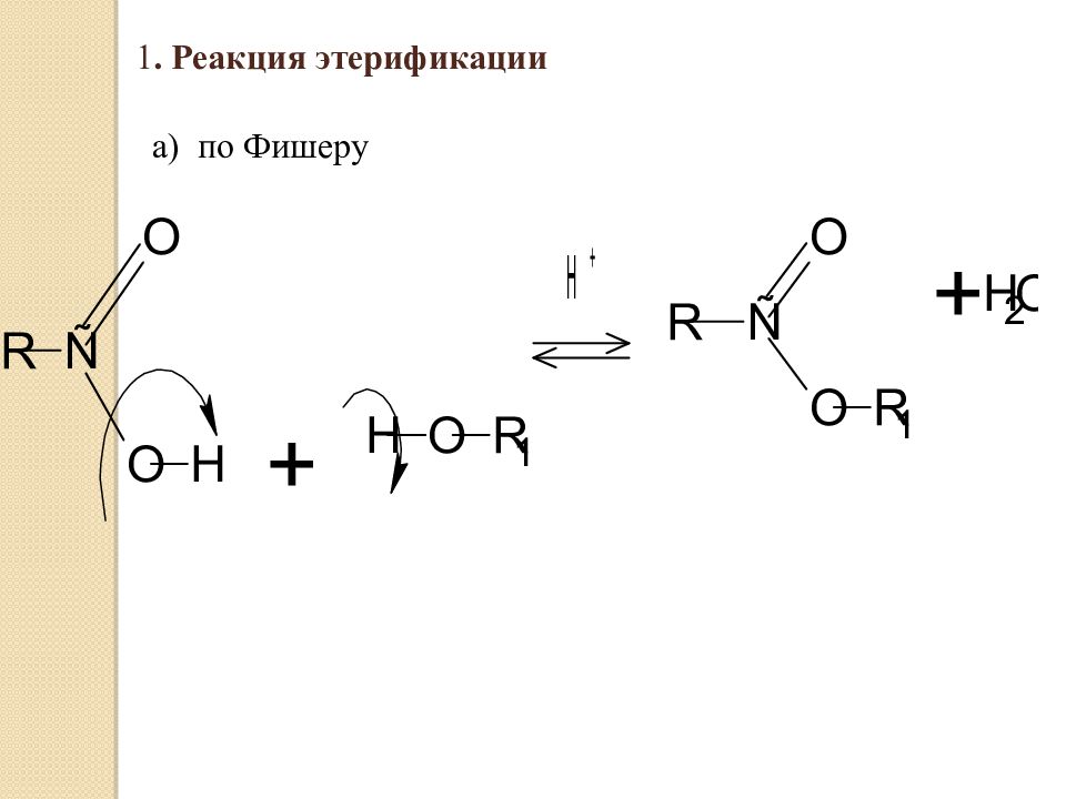 Сложные эфиры презентация