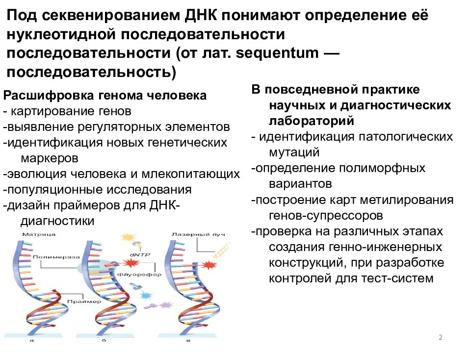 Секвенирование днк презентация