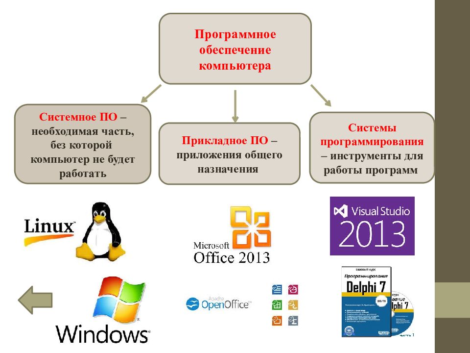 Программное обеспечение 3. Программы обеспечения системного программирования. Программное обеспечение компьют. Прогрмноеобеспечение компьютера. Программное обеспечение биокомпьютера.