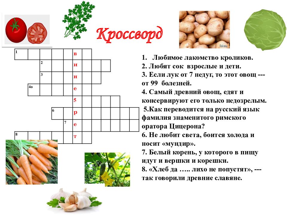 Зерновые культуры сканворд