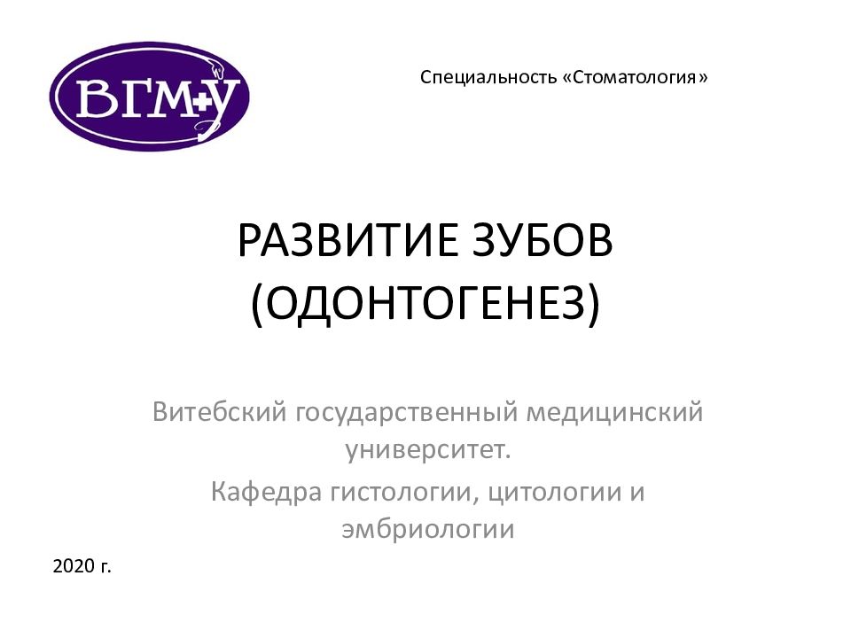 РАЗВИТИЕ ЗУБОВ (ОДОНТОГЕНЕЗ)