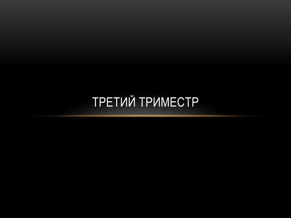 Третий триместр