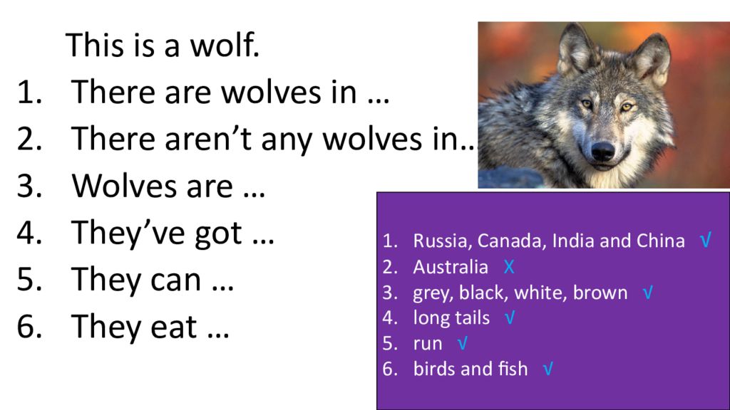 Wolf in english with subtitles