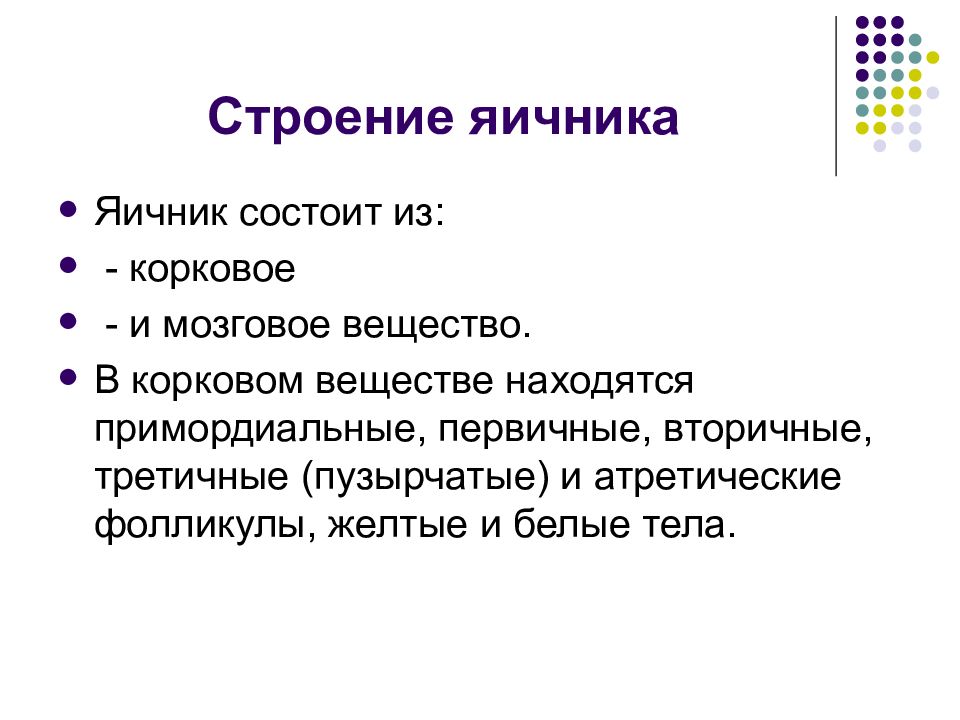 Значение яичника. Строение и функции яичников. Яичники строение и функции. Яичники строение и функции кратко. Яичник функции анатомия.