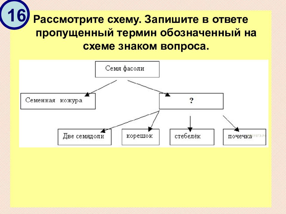 Пропускаю ответ. Рассмотрите схему. Запиши понятие, пропущенное в схеме. ￼. Описать схему. Пропущенный термин, обозначенный на схеме знаком вопроса. Ответ:.