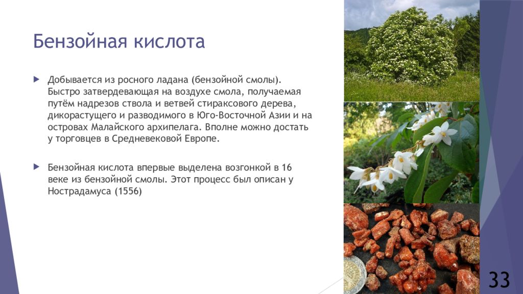 В природе содержится в. Бензойная смола(росного ладана. Бензойная кислота нахождение в природе. Бензойная кислота в природе содержится. Бензойная кислота где содержится.