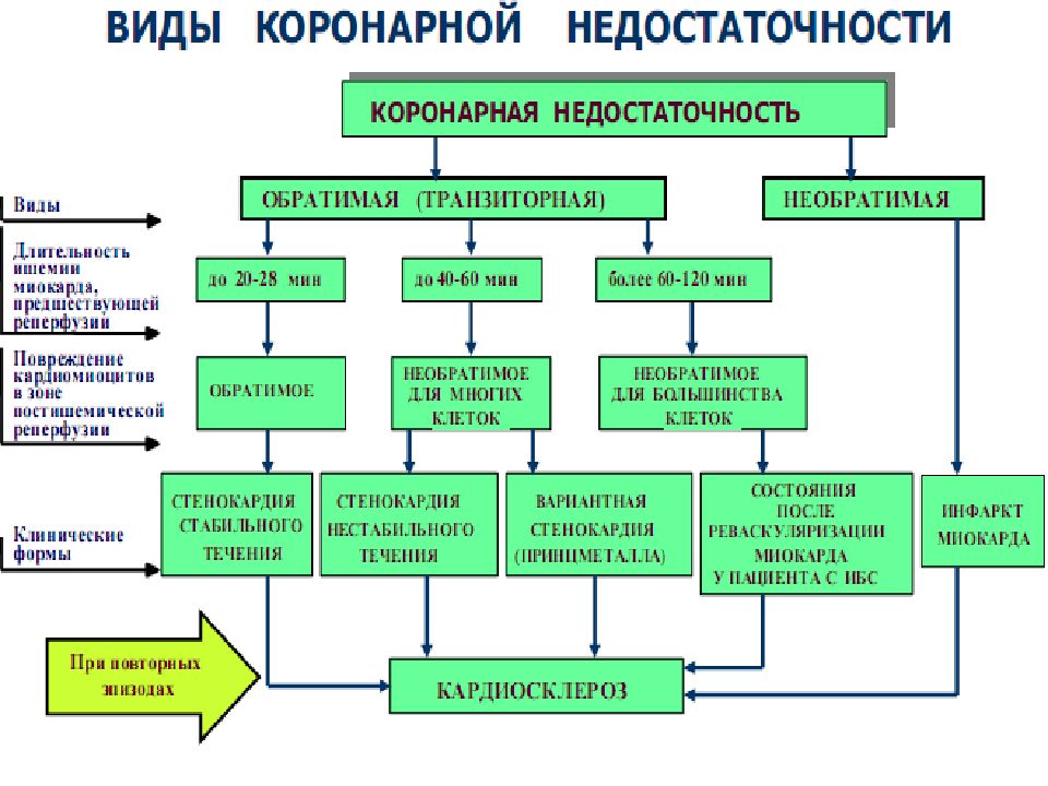 Сердечная недостаточность патофизиология презентация