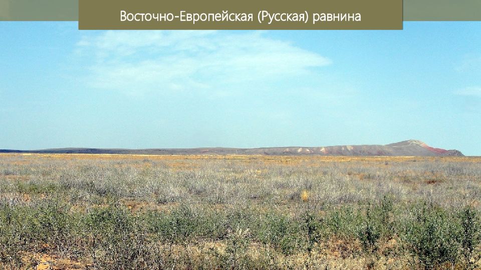 Климат западной равнины. Великие равнины России. Западно-Сибирская равнина полупустыни. Лесотундра Восточно европейской равнины.