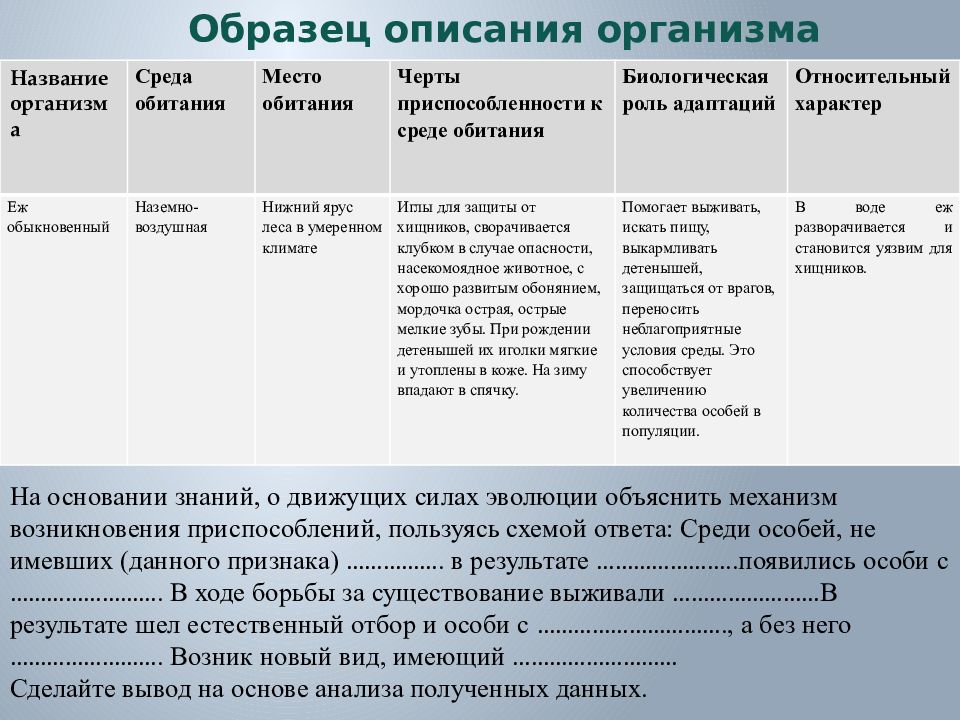 Приспособленность организмов к среде обитания 5 класс биология презентация