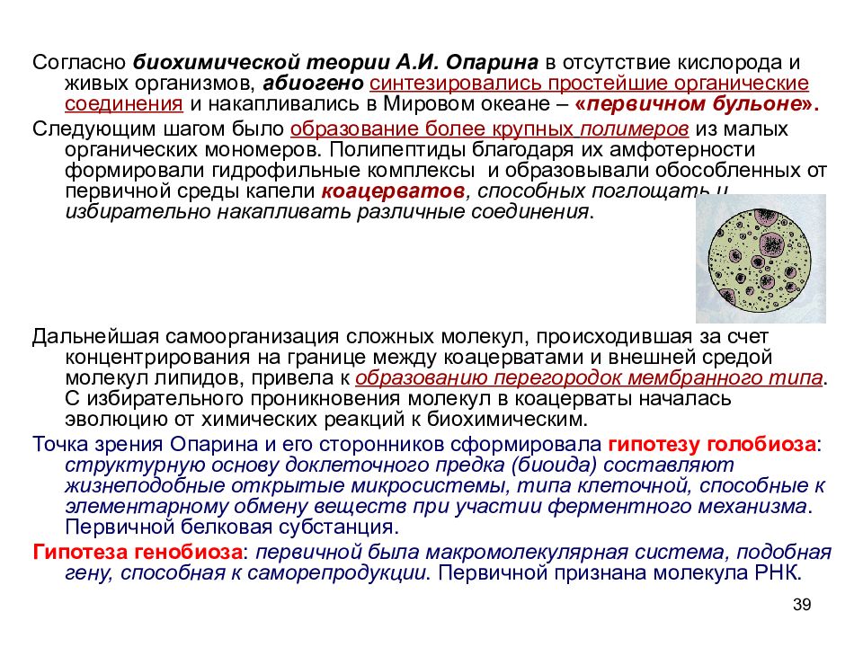 Биохимической теории. Биологическая концепция. Биохимическая гипотеза. Биохимическая теория памяти. Теория Опарина.