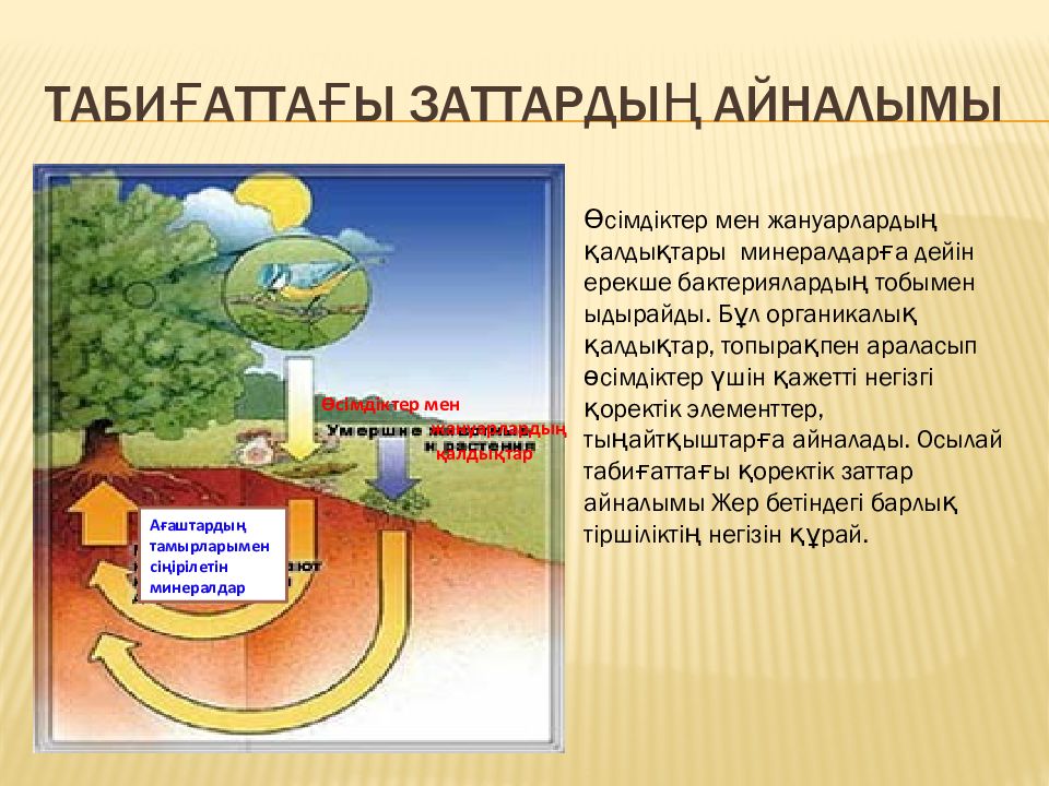 Табиғаттағы су айналымы