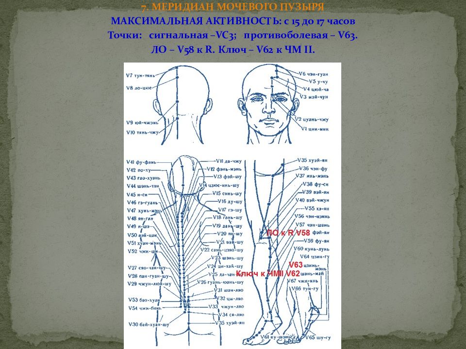 Точки час. Чжень Цзю меридианы. Меридиан мочевого пузыря точки расположения. Чжень-Цзю терапия точки. Шао фэн по Чжэнь Цзю.