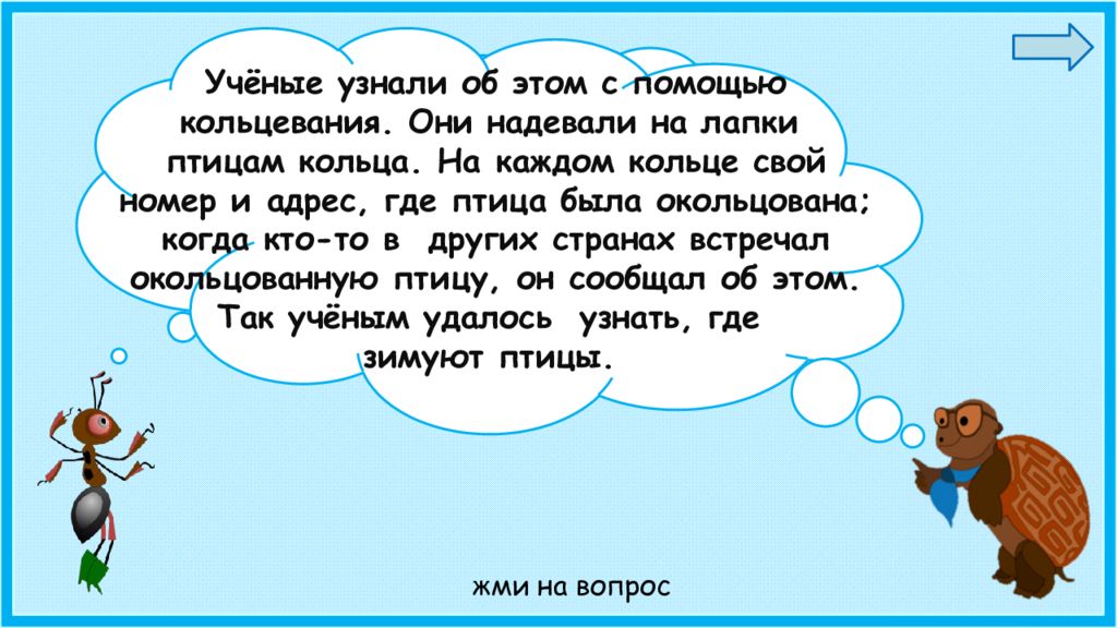 Где зимовать. Как ученые узнали где зимуют птицы. Куда улетают зимовать птицы. Как учёные узнали где зимуют перелетные. Какой предмет помог узнать где зимуют перелетные птицы.