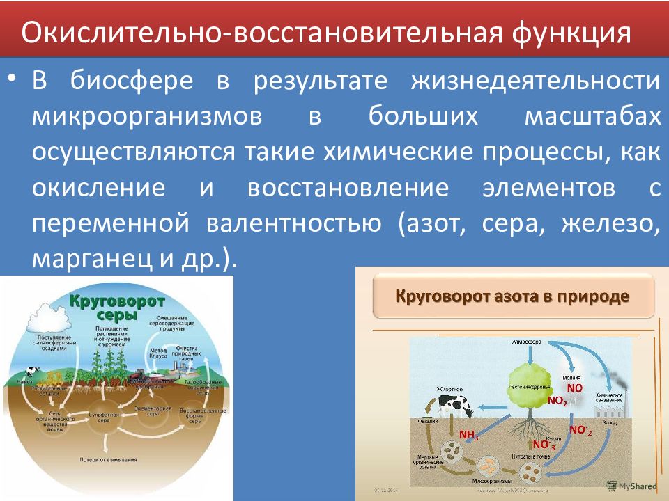 Овр в жизни человека презентация