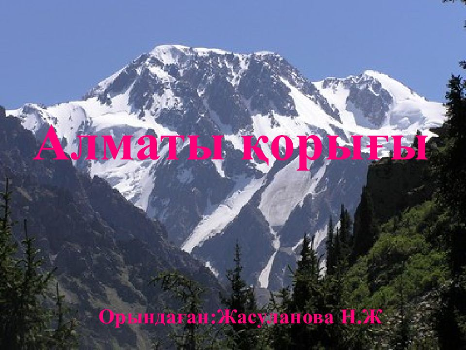 Алматы қорығы Орындаған:Жасуланова Н.Ж