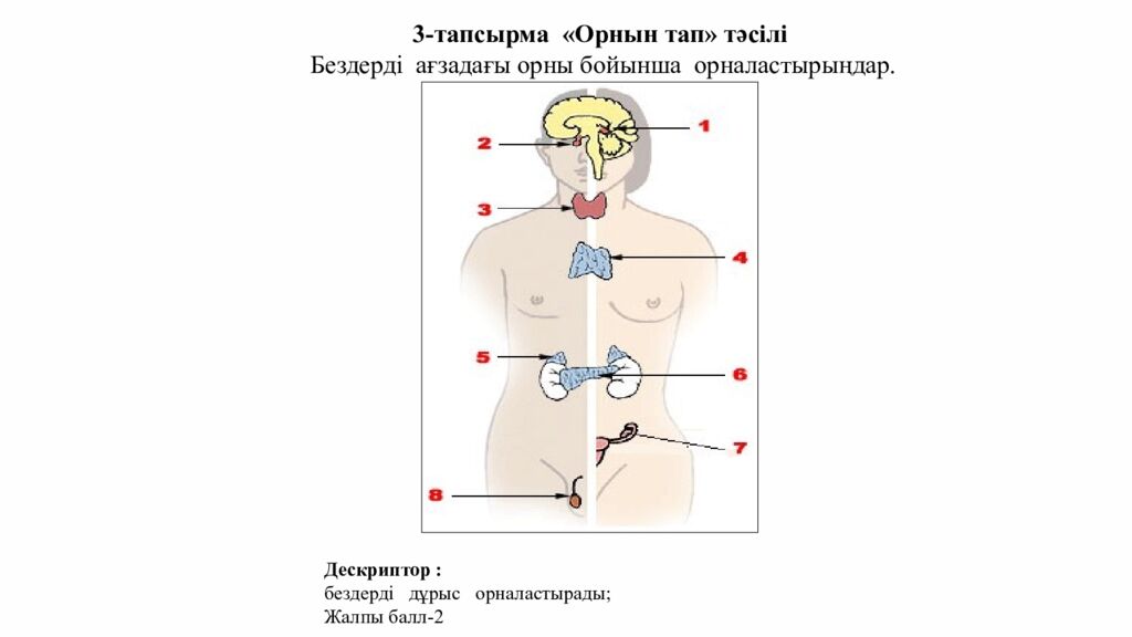 ПСИХОЛОГИЯЛЫ Қ АТМОСФЕРА ОРНАТУ Додокоэдр» тәсілі бойынша жағымды психологиялық