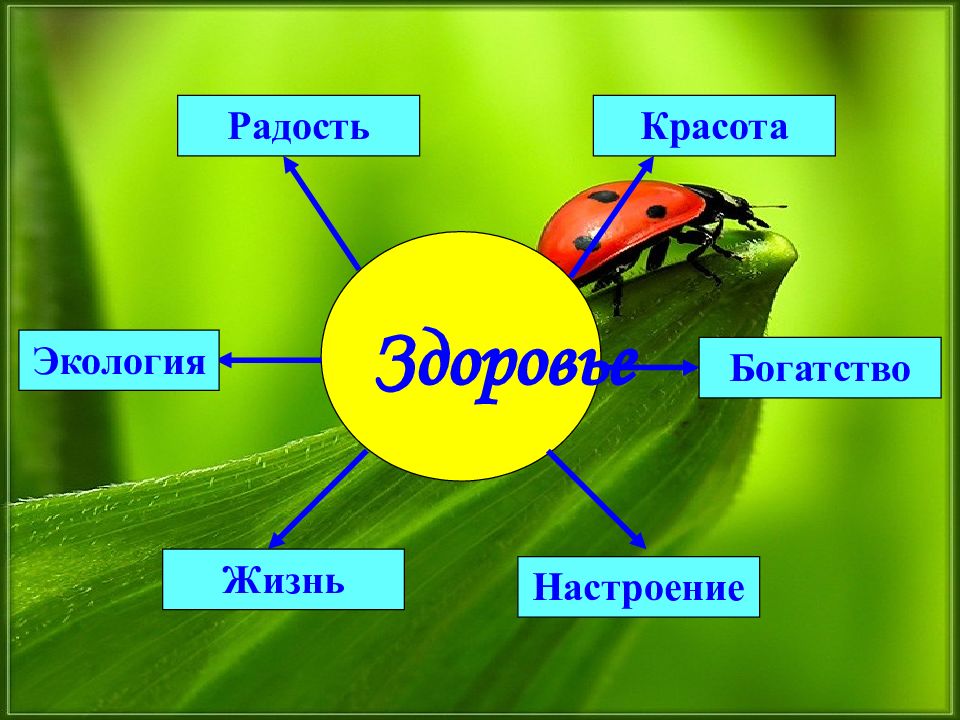 Картинки экология и здоровье человека