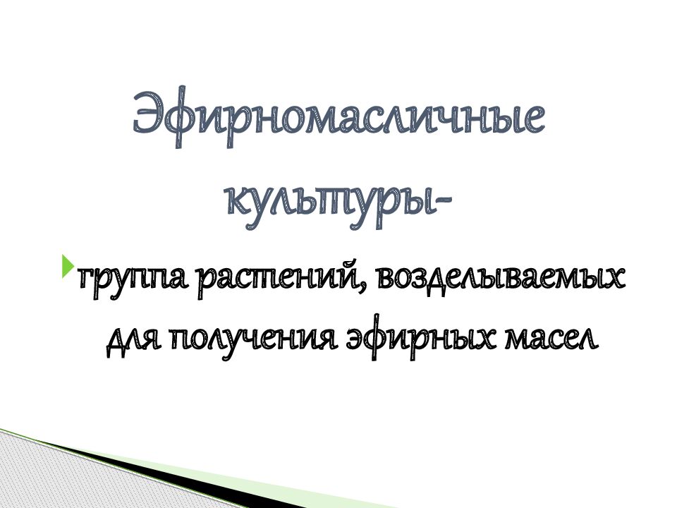 Эфирномасличные культуры-
