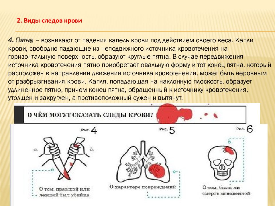 Значимый след. По форме следы крови бывают в виде. По форме следы крови не бывают в виде. Значение слова след.