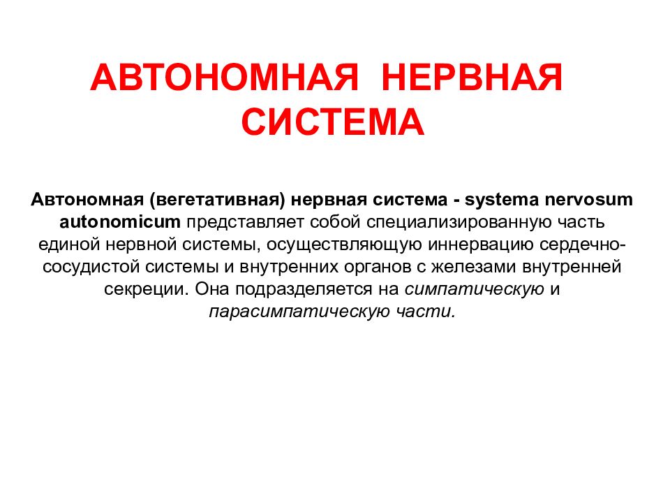 АВТОНОМНАЯ НЕРВНАЯ СИСТЕМА Автономная (вегетативная) нервная система - systema nervosum autonomicum представляет собой специализированную часть единой нервной