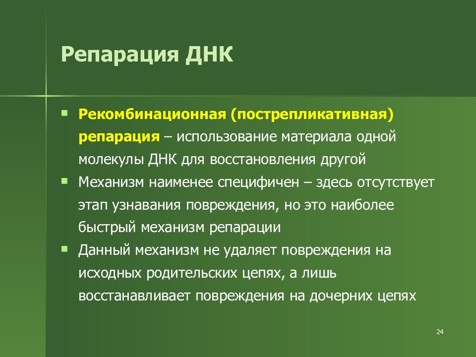 Репарация это. Пострепликативная рекомбинационная репарация. Пострепликативная репарация этапы. Пострепликативная репарация ДНК. Рекомбинационная репарация ДНК.