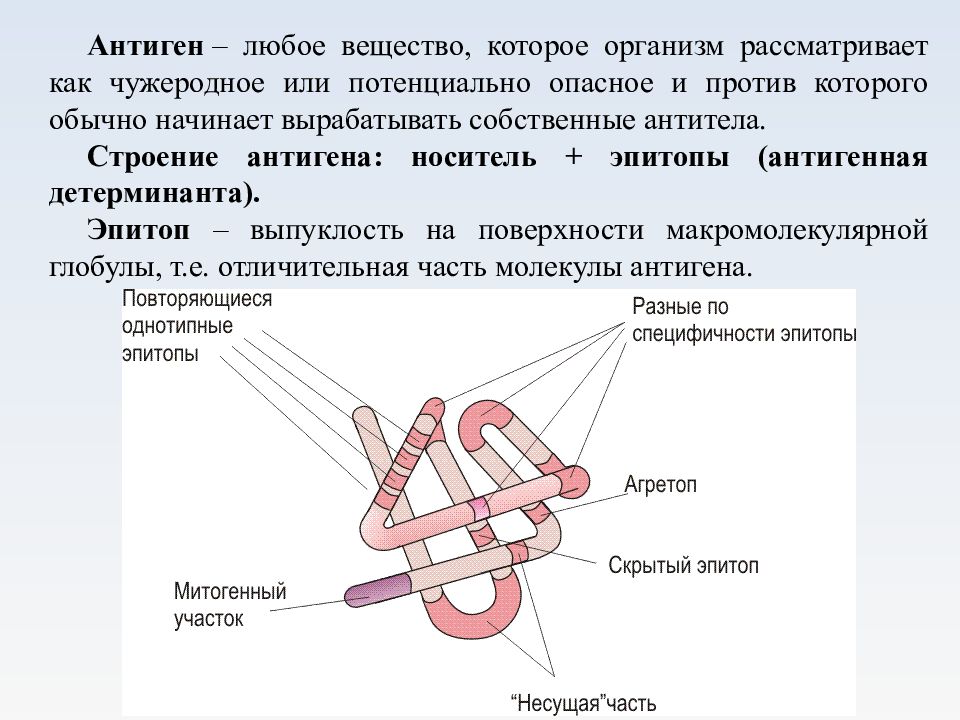 Антигены картинки для презентации