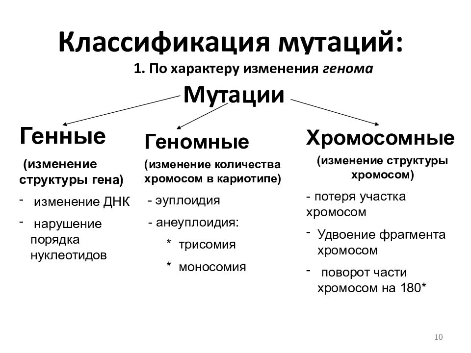 Классификация мутаций схема