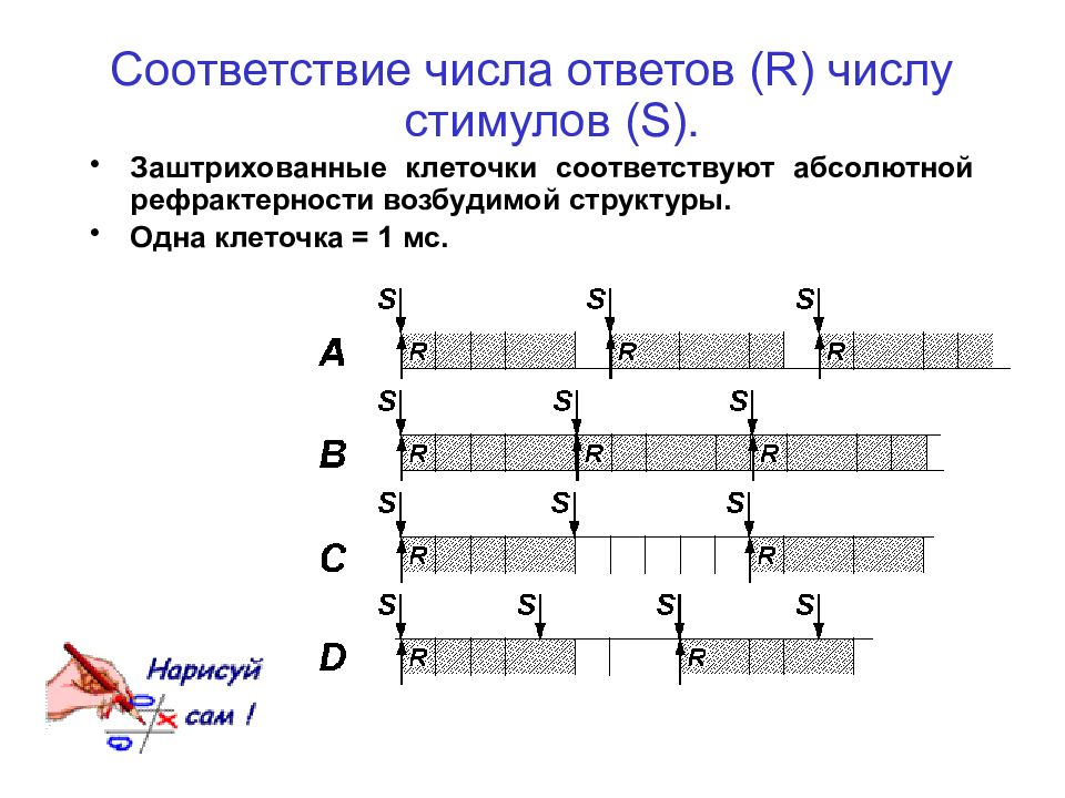 Абсолютный соответствовать. Кроссворд по теме возбудимые ткани. Кроссворд физиология возбудимой ткани т.