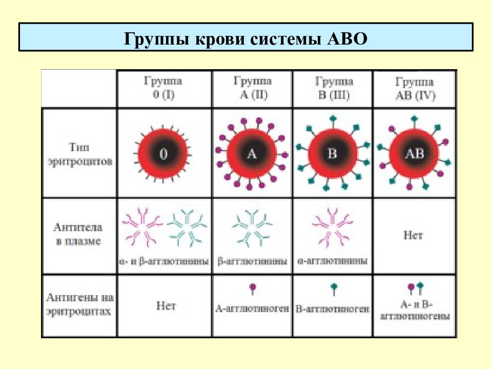 Определить группу крови по системе аво