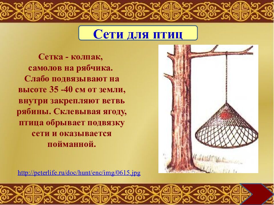 Муниципальное общеобразовательное учреждение «Средняя общеобразовательная