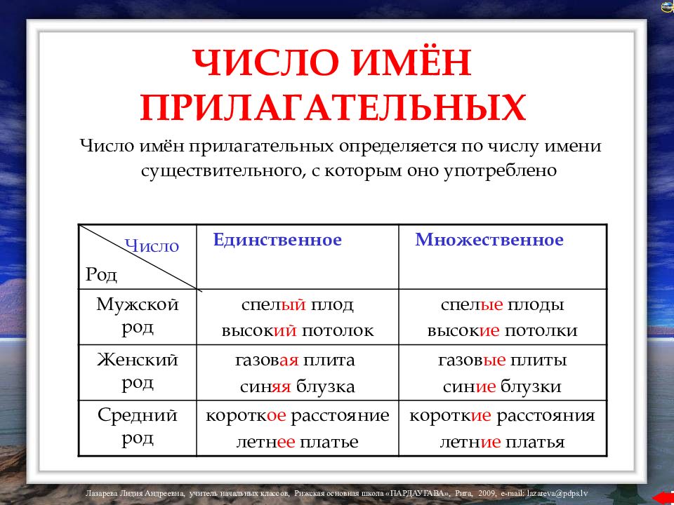 Изменение имен прилагательных по числам 3 класс презентация