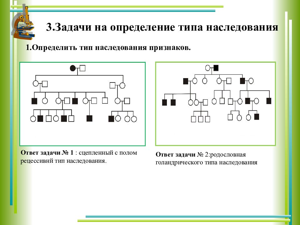 По схеме родословной определите тип наследования