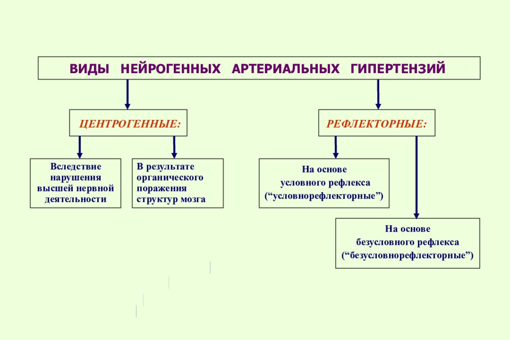 Виды артериальной гипертензии. Механизм развития нейрогенной артериальной гипертензии. Типы артериальной гипертензии патофизиология. Нейрогенные артериальные гипертензии патогенез. Синтраггеные артерялные гипертензии.