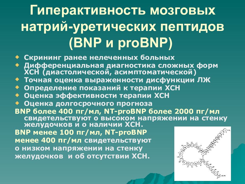 Определение пептида 32 мозга что это. Натрийуретический пептид ХСН. Мозговой натрийуретический пептид. Натрий мозговой пептид. Мозговой натрийуретический пептид ХСН.