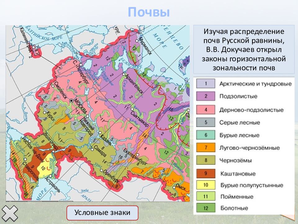 Почему размещение почв дальнего востока отличается от схемы зональности русской равнины кратко