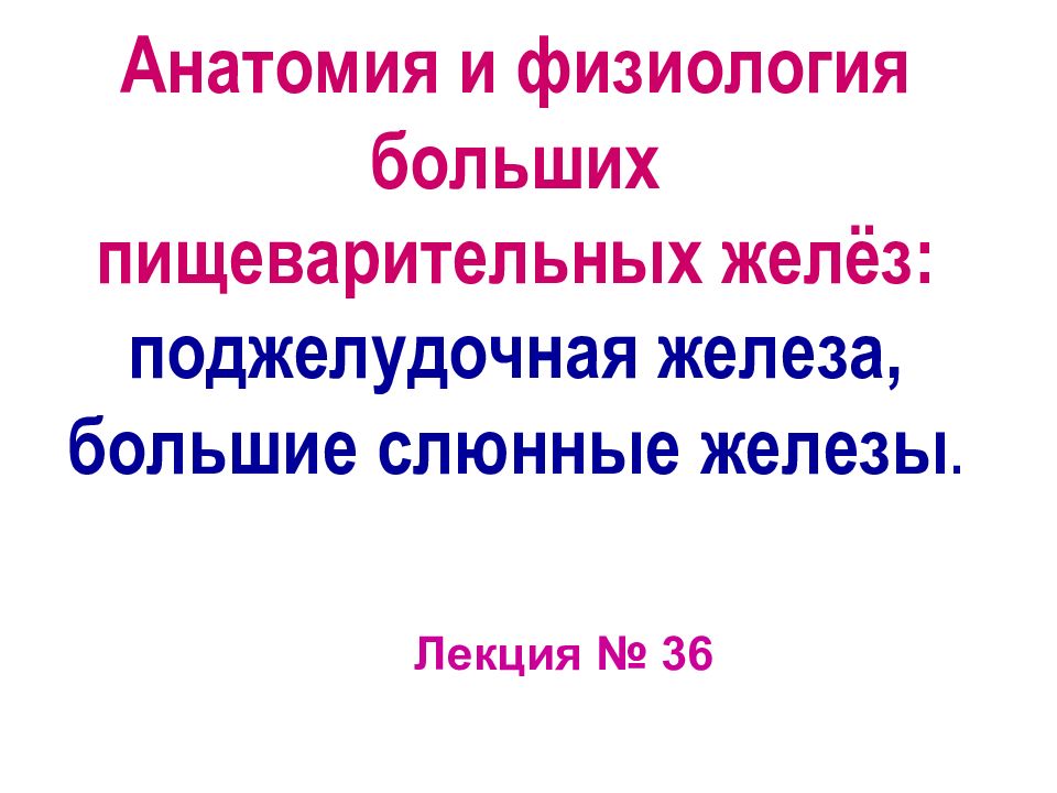 Анатомия и физиология больших пищеварительных желёз: поджелудочная железа, большие слюнные железы.