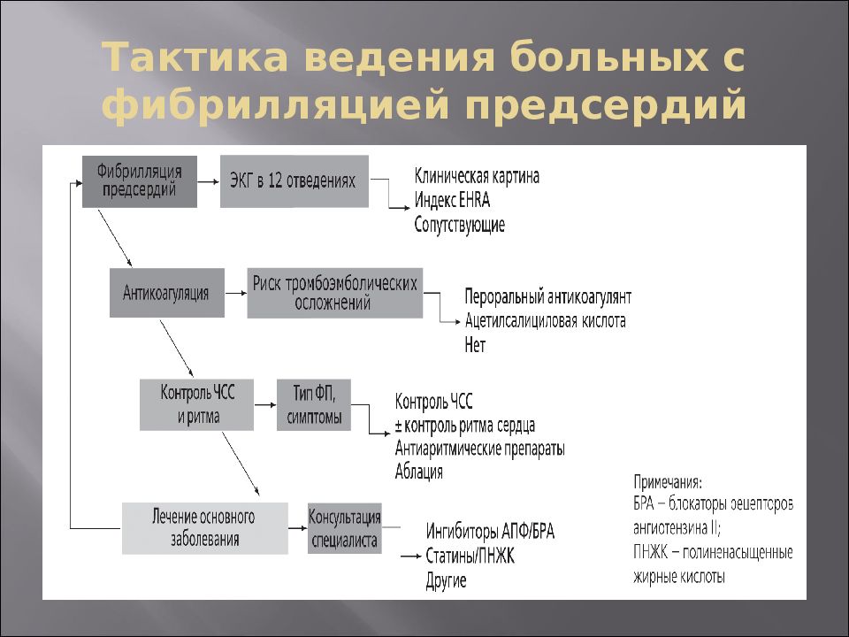 Тактика ведения. Тактика ведения больных с фибрилляцией предсердий. Алгоритм ведения пациентов с фибрилляцией предсердий. Тактика ведения пациентов с фибрилляцией предсердий менее 48 часов. Тактика ведения больных с ФП.