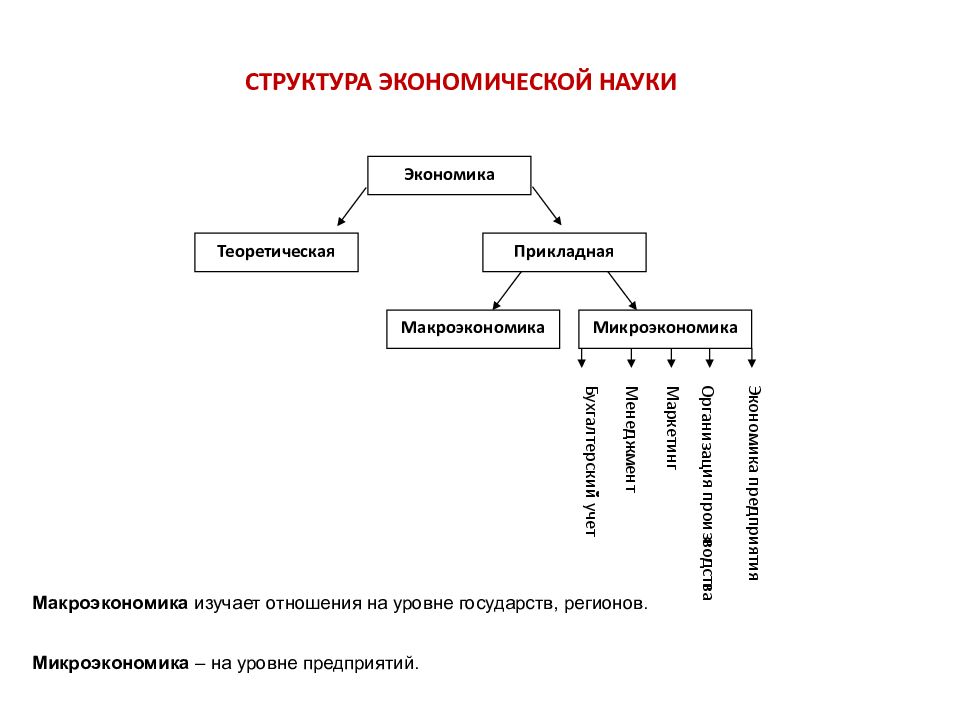 Экономическая структура это. Структура экономической науки. Состав строение экономического объекта. Структура эконом науки. Структура экономики производства на предприятии.