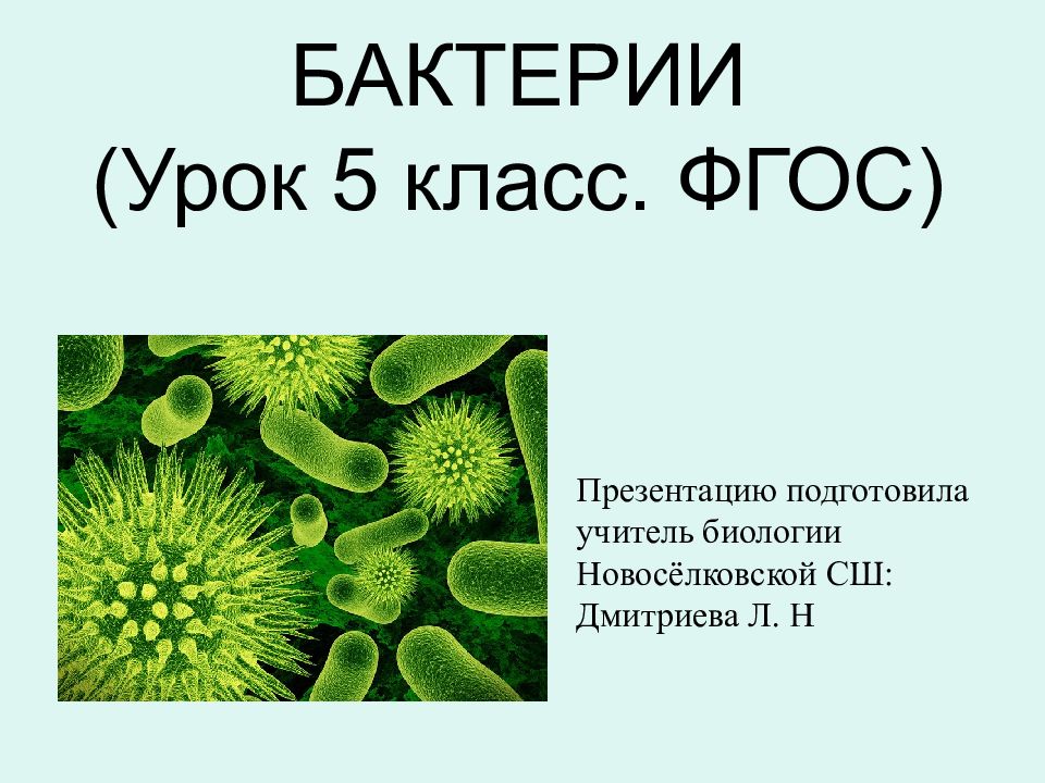 Презентация на тему бактерии 5 класс