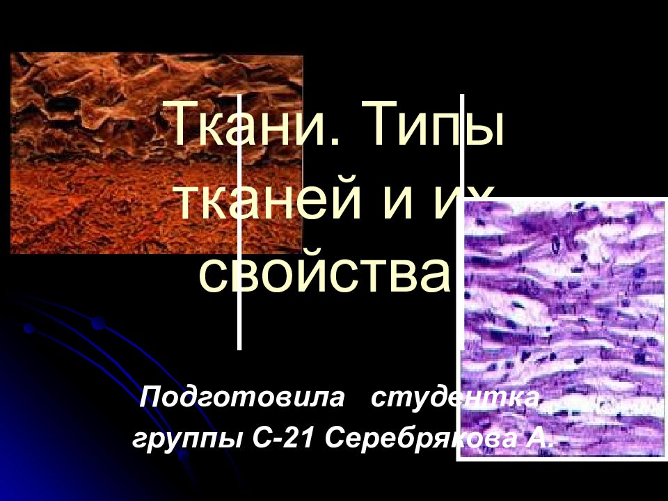 Ткани. Типы тканей и их свойства.