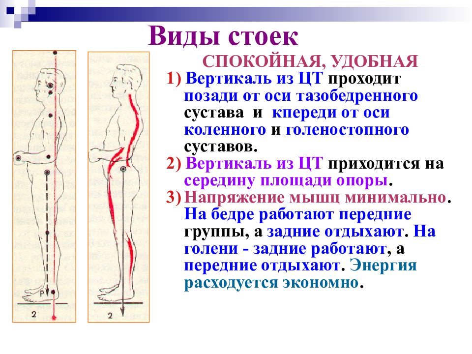 Биомеханика презентация казакша