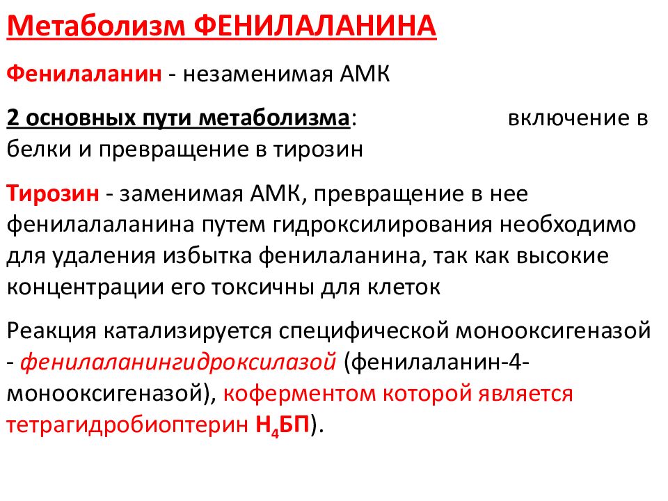 Содержание фенилаланина. Обмен фенилаланина и тирозина. Превращение фенилаланина. Трансаминирование тирозина. Метаболизм тирозина.