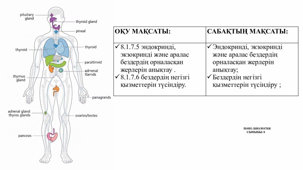 ПСИХОЛОГИЯЛЫ Қ АТМОСФЕРА ОРНАТУ Додокоэдр» тәсілі бойынша жағымды психологиялық