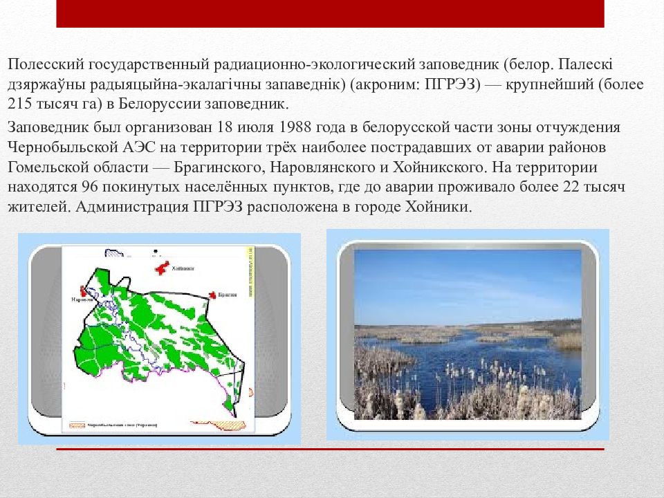 Полесский радиационно экологический заповедник презентация