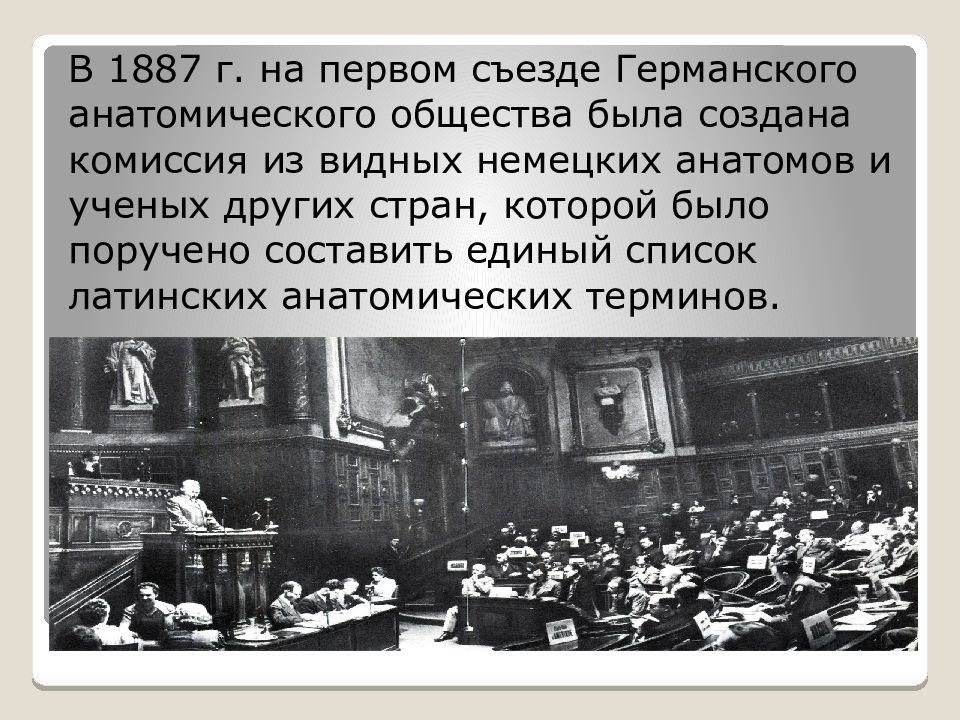 История развития медицинской терминологии. Обществом было создана комиссия. Презентация на тему история развития медицинской терминологии. История русской медицинской терминологии презентация.