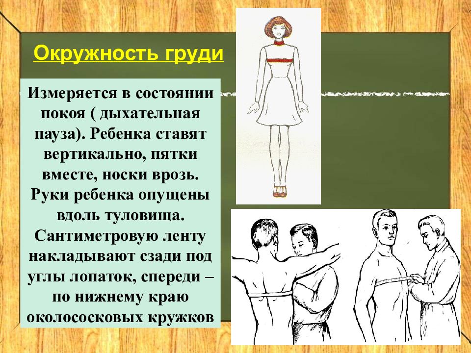 Окружность груди. Окружность груди в паузе. Дыхательная пауза. Пятки вместе носки врозь руки опущены.